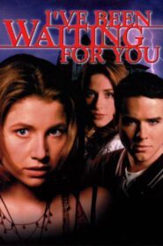 I’ve Been Waiting for You 1998 one on netflix