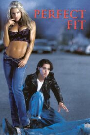 Perfect Fit 2001 one on netflix