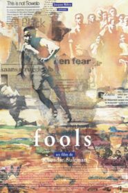 Fools 1997 one on netflix