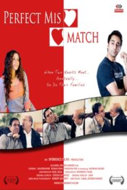 Perfect Mismatch 2009 one on netflix