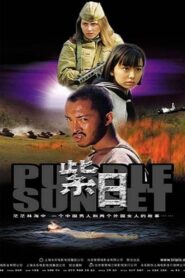 Purple Sunset 2001 one on netflix