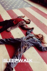 Sleepwalk 2000 one on netflix