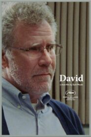David 2020 one on netflix