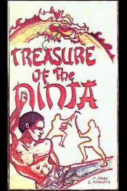 Treasure of the Ninja 1987 one on netflix