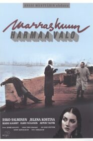 Marraskuun harmaa valo 1993 one on netflix