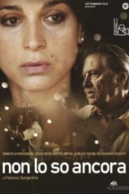 Non lo so ancora 2013 one on netflix