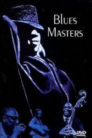 Blues Masters 1999 one on netflix