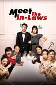 Meet the In-Laws 2011 one on netflix