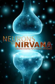 Neurons to Nirvana 2013 one on netflix