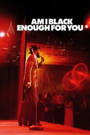 Am I Black Enough for You 2009 one on netflix