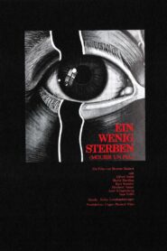Dying Bit by Bit 1981 one on netflix