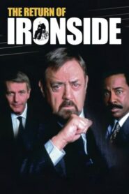 The Return of Ironside 1993 one on netflix