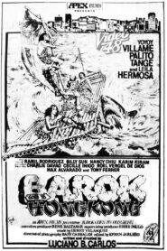 Barok Goes to Hong Kong 1984 one on netflix