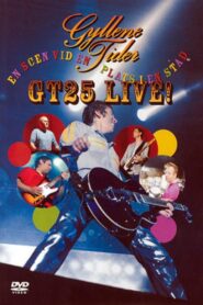 Gyllene Tider: GT25 Live – En scen på en plats i en stad 2004 one on netflix