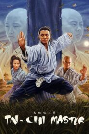 Tai-Chi Master 1993 one on netflix