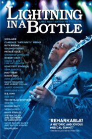 Lightning in a Bottle 2004 one on netflix