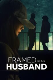 Framed by My Husband 2021 one on netflix
