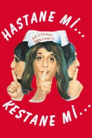 Hastane mi Kestane mi 1988 one on netflix