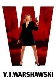 V.I. Warshawski 1991 one on netflix