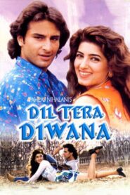 Dil Tera Diwana 1996 one on netflix