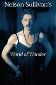 Nelson Sullivan’s World Of Wonder 1994 one on netflix