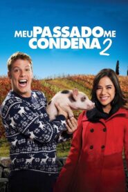 Meu Passado Me Condena 2: O Filme 2015 one on netflix