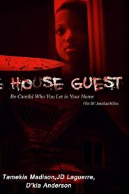 The House Guest 2020 one on netflix
