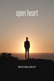 Open Heart 2023 one on netflix