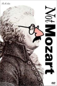Not Mozart: Letters, Riddles and Writs 1991 one on netflix