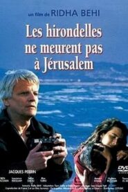 Swallows Never Die in Jerusalem 1994 one on netflix