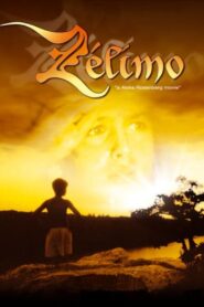 Zelimo 2001 one on netflix