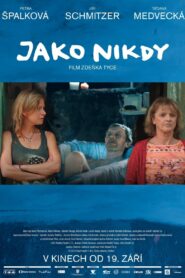 Jako nikdy 2013 one on netflix