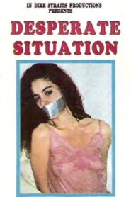 Desperate Situation 1995 one on netflix