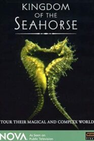 Kingdom of the Seahorse 1997 one on netflix