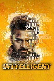 Inttelligent 2018 one on netflix