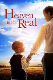 Heaven Is for Real 2014 one on netflix