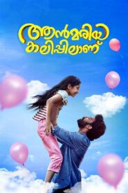 Annmariya Kalippilaanu 2016 one on netflix