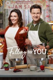 Falling for You 2018 one on netflix