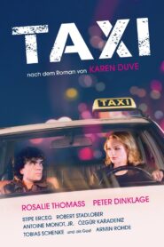 Taxi 2015 one on netflix