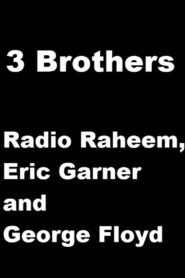 3 Brothers – Radio Raheem, Eric Garner and George Floyd 2020 one on netflix