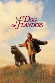 A Dog of Flanders 1999 one on netflix