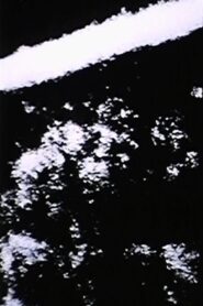 Bullet 1993 one on netflix