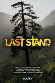 The Last Stand 2022 one on netflix