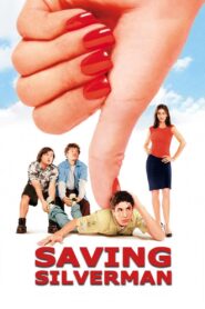 Saving Silverman 2001 one on netflix