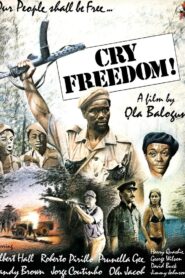 Cry Freedom 1981 one on netflix