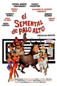 El semental de Palo Alto 1988 one on netflix