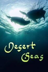 Desert Seas 2011 one on netflix