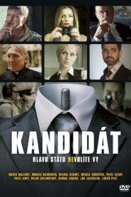 The Candidate 2013 one on netflix