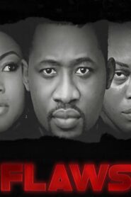 Flaws 2016 one on netflix
