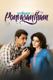 Neethaane En Ponvasantham 2012 one on netflix